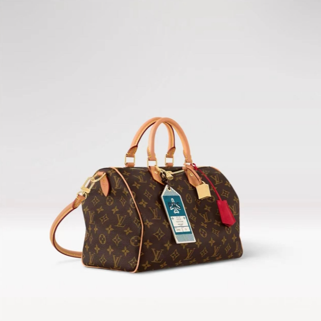全新未使用 LouisVuitton/路易威登  24新款 Speedy30枕头包Soft 