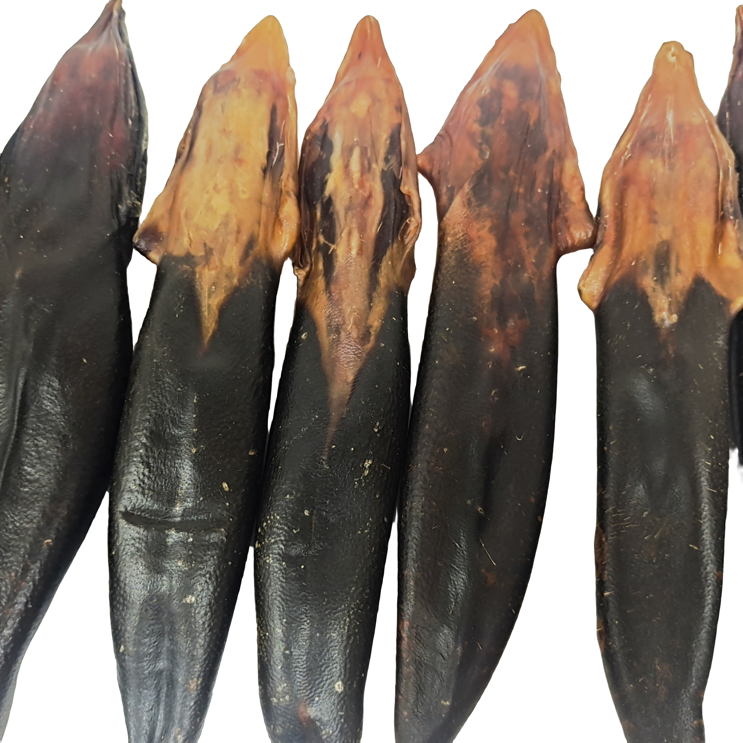 梅花鹿尾 改价链接 干鲜均可（干的足干不含潮）