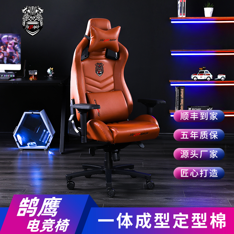 鹄鹰BOSS书房简约椅座椅家用工学椅躺椅办公简约玩家简约椅电竞椅