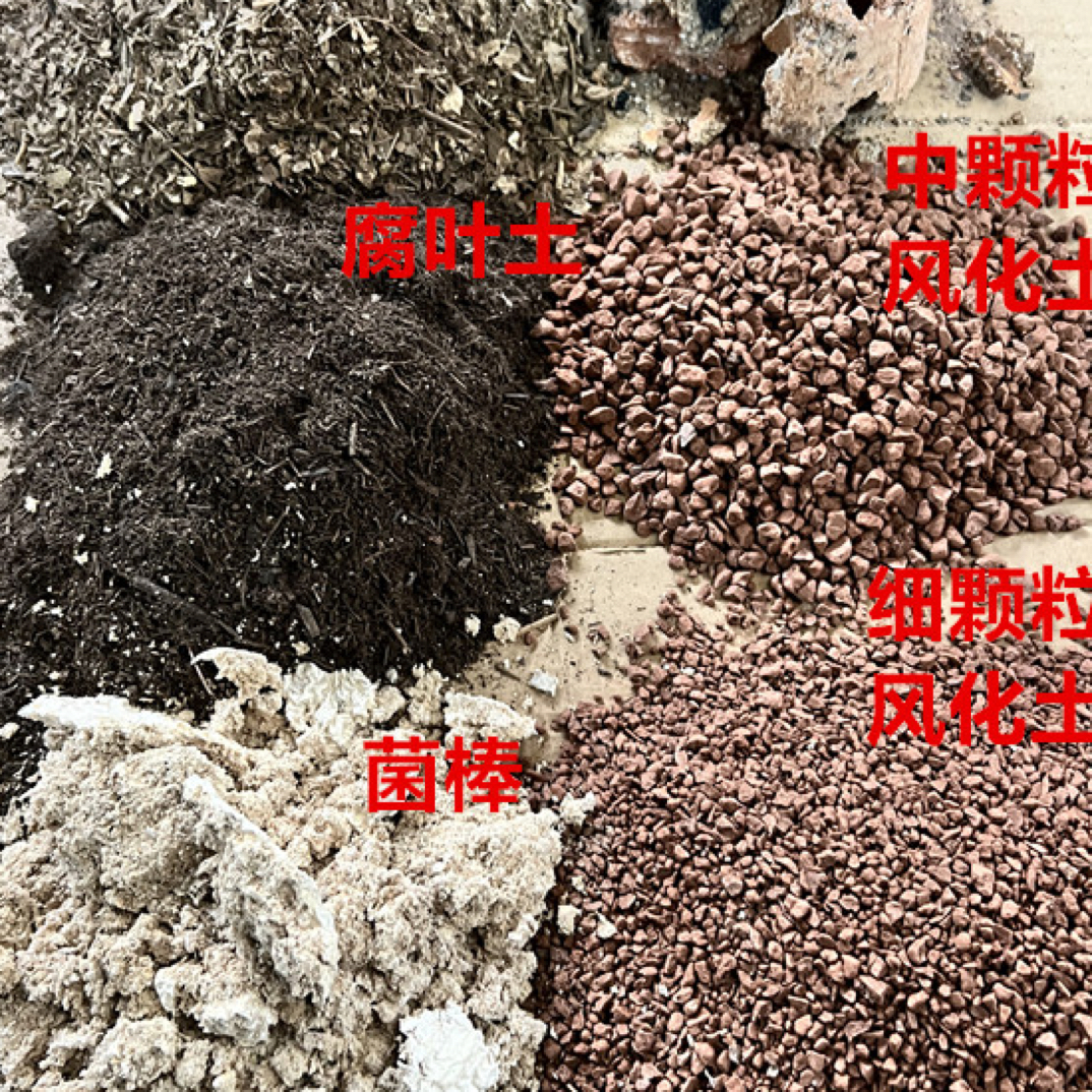 （啊佑推荐）生熟桩通用营养土室内养花专用颗粒土