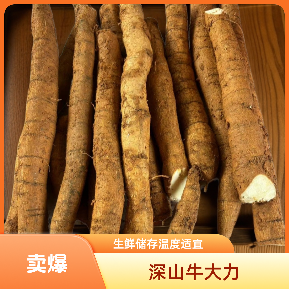 广东云浮深山牛大力根 [大货2斤装]