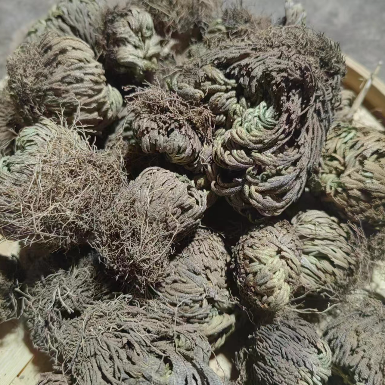 【雪域永恒草】净重50g-500g