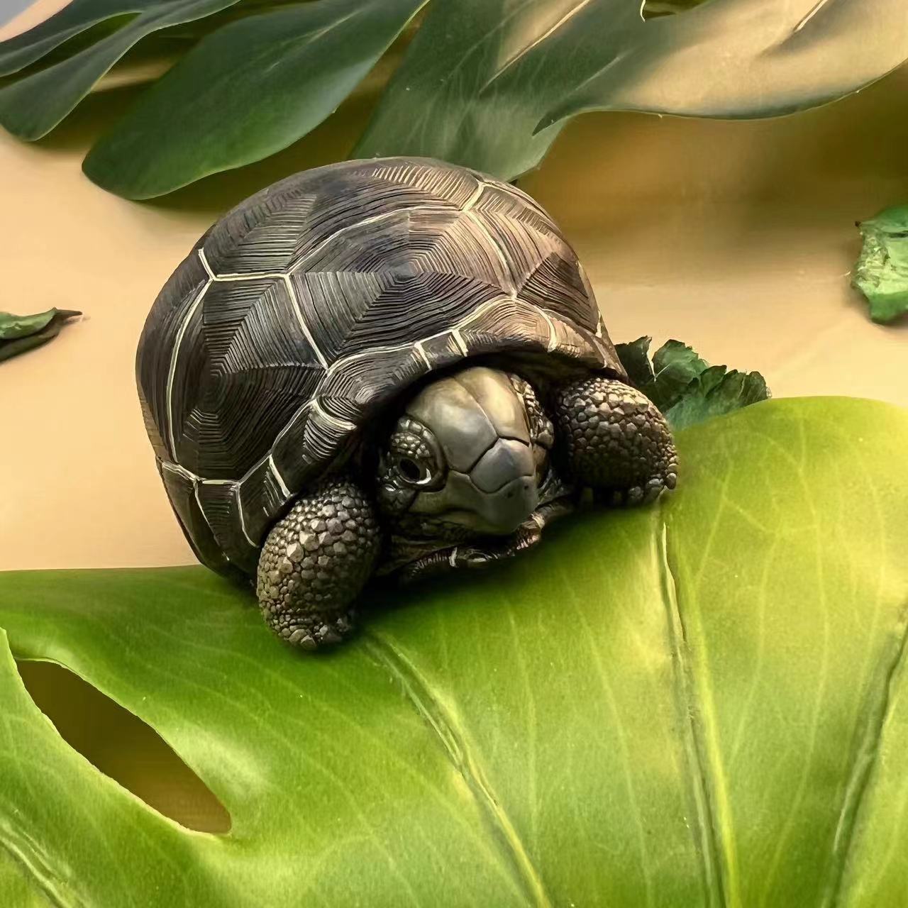 动物星球 亚达陆龟手办 模型