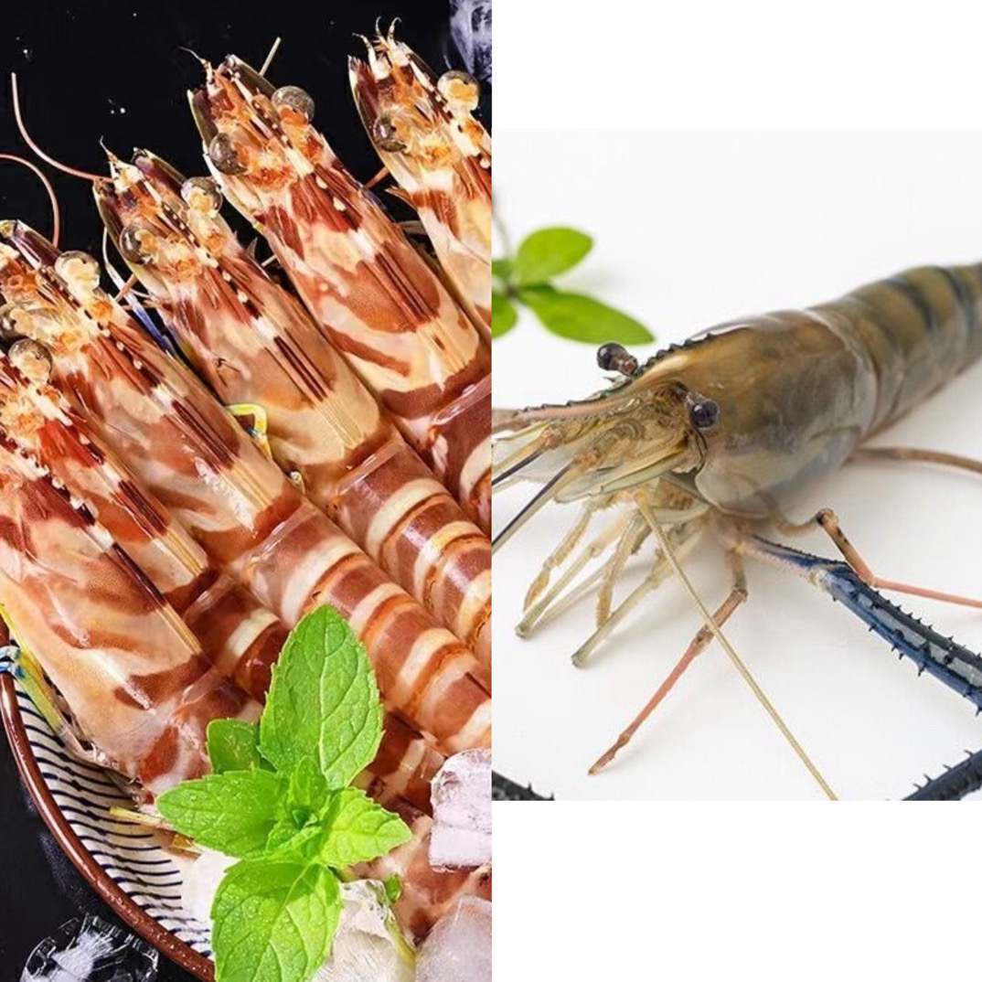 【混搭】基围虾+罗氏虾个个包肥到家保鲜不保活一斤45条基围虾
