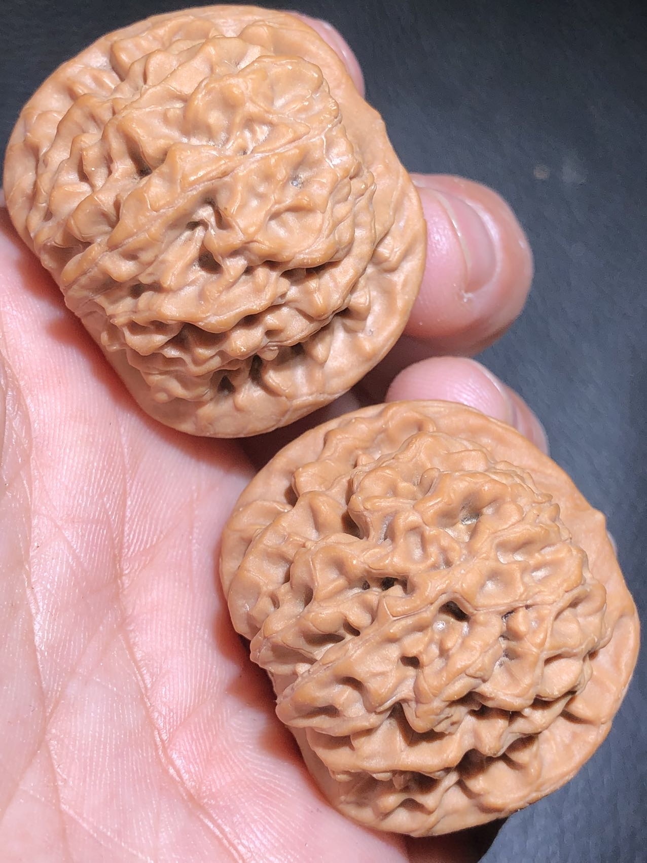 高端小众《秦闷》狮子全品 品相直接毕业喜欢的来！