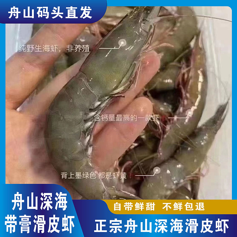 舟山深海带膏活皮虾 剑虾一斤35-40条