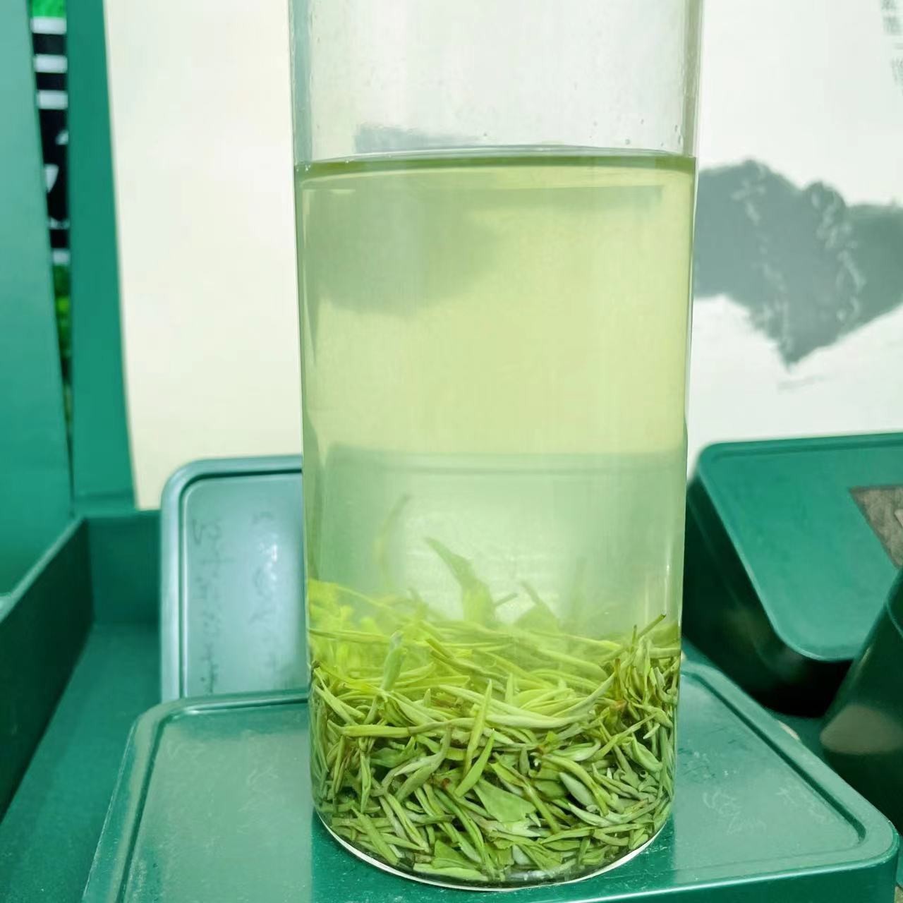 信阳毛尖2023 雨前小芽 . 芽头整齐 生态传统工艺 袋装茶叶