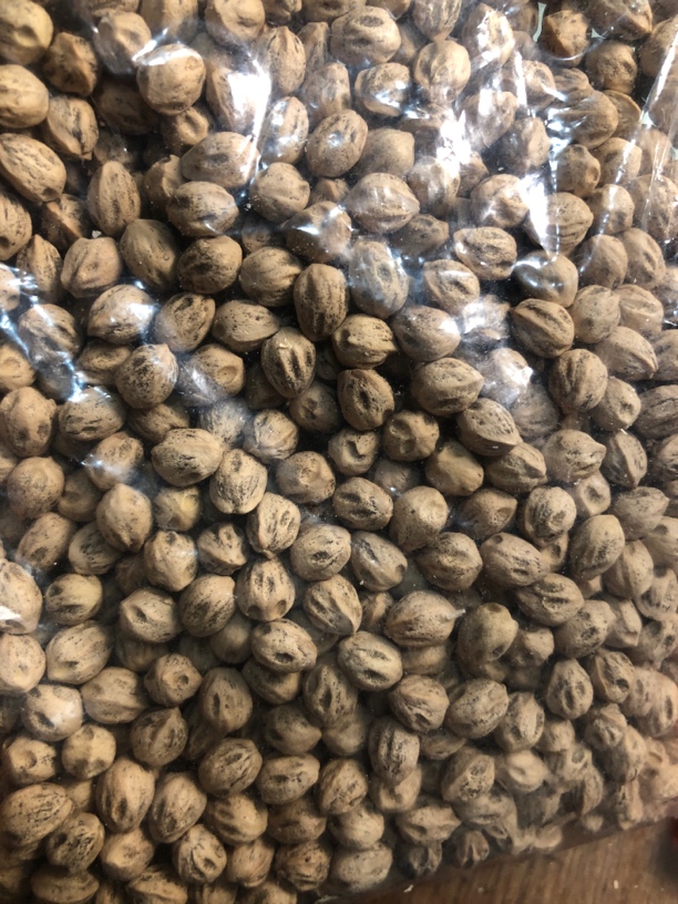 热振散籽100克随机发