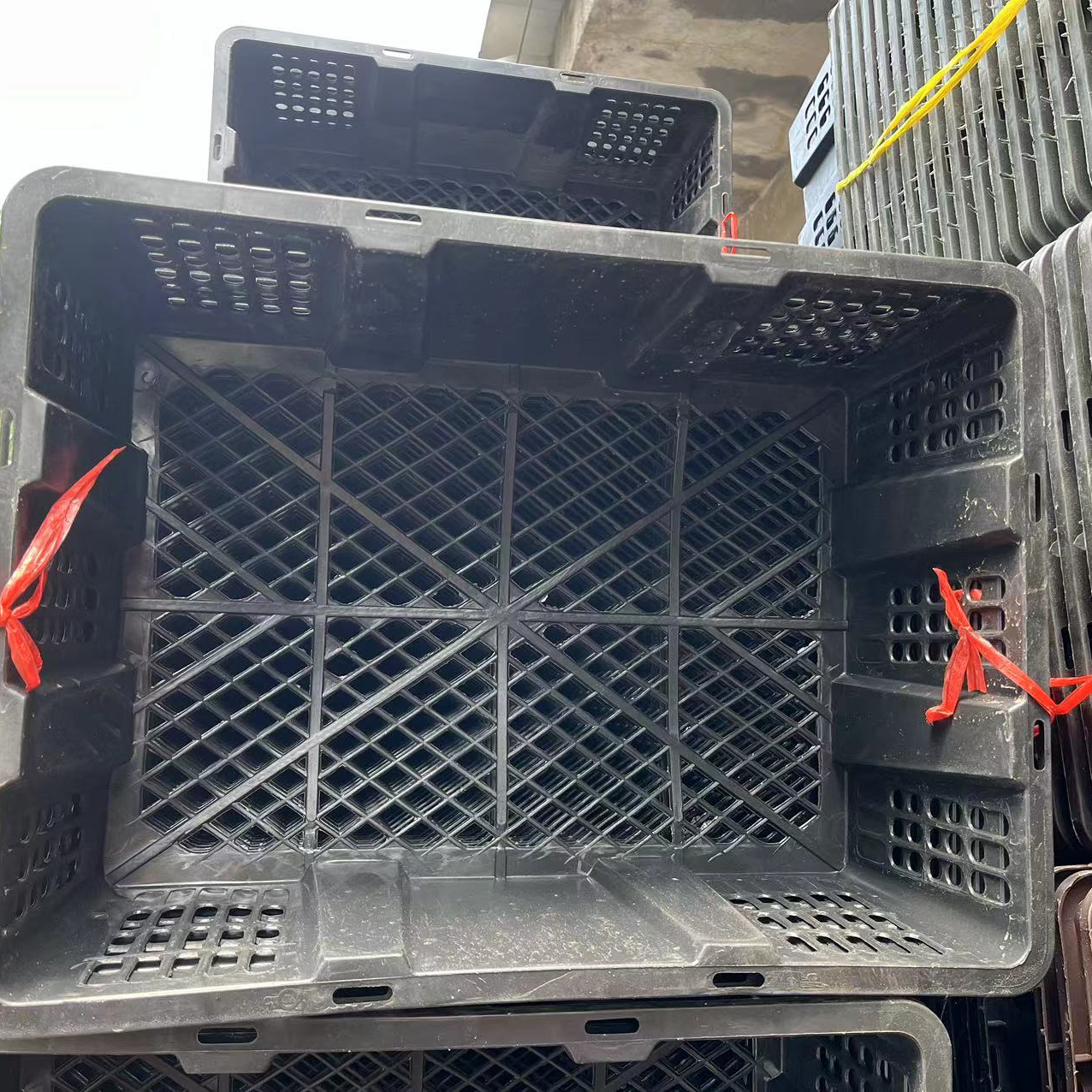 【直播专享】苗鸡专用运输框育雏苗框塑料收纳整理框子
