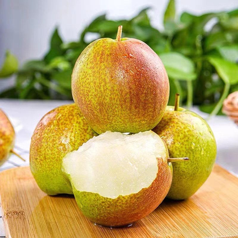 山西正宗玉露香梨当季新鲜采摘皮薄核小脆甜多汁甘甜爽口4.8-8.9