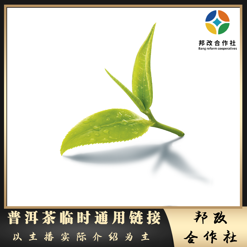 2021年下磨烈古树357克普洱茶生茶临时通用链接/普洱生茶