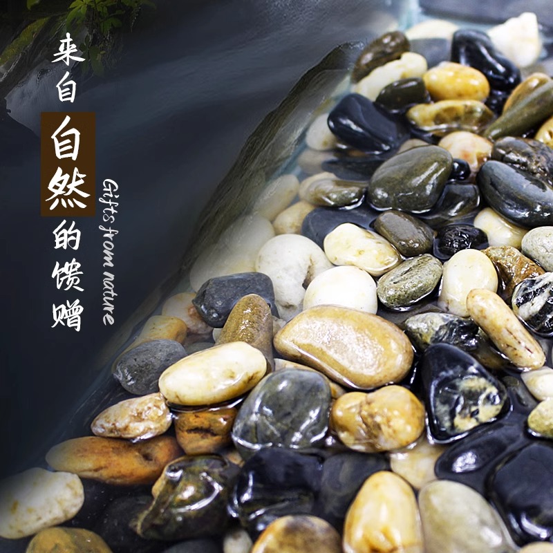 爬将军鱼缸溪流石底砂沙造景水草装饰沙子雨林沙草缸铺底石头子缸