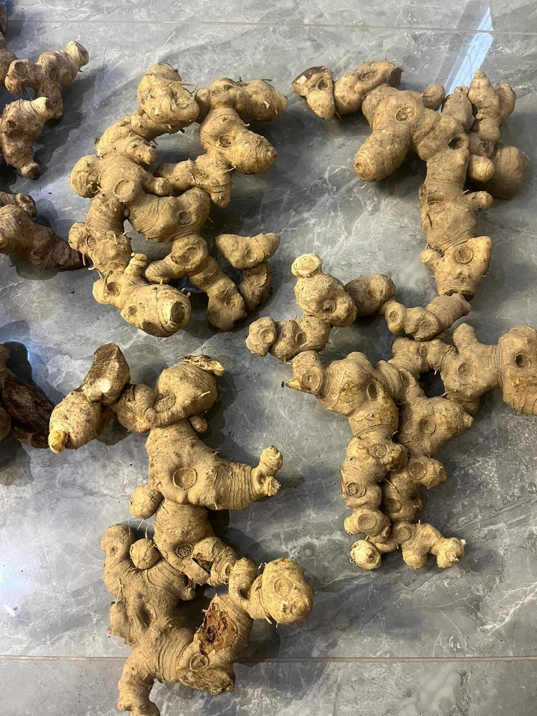 云南农家姜（型黄静）黄豆9蒸9晒，泡水煮茶，煲汤