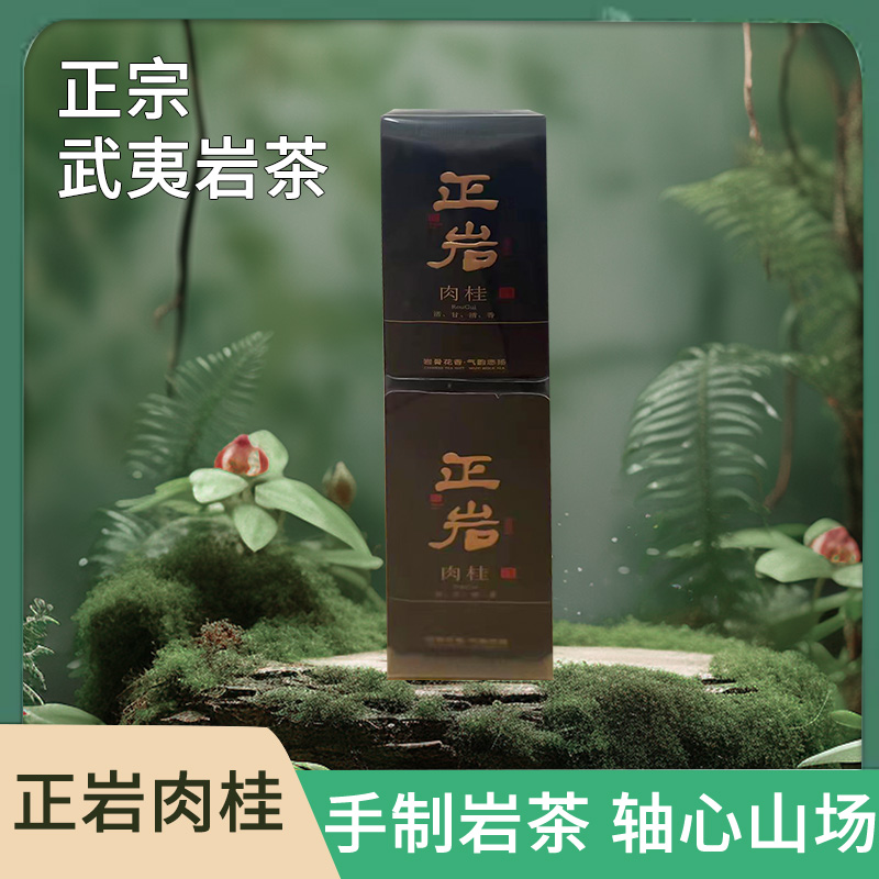 武夷岩茶  正岩肉桂PVC泡袋装 大份量250g正岩肉桂茶叶