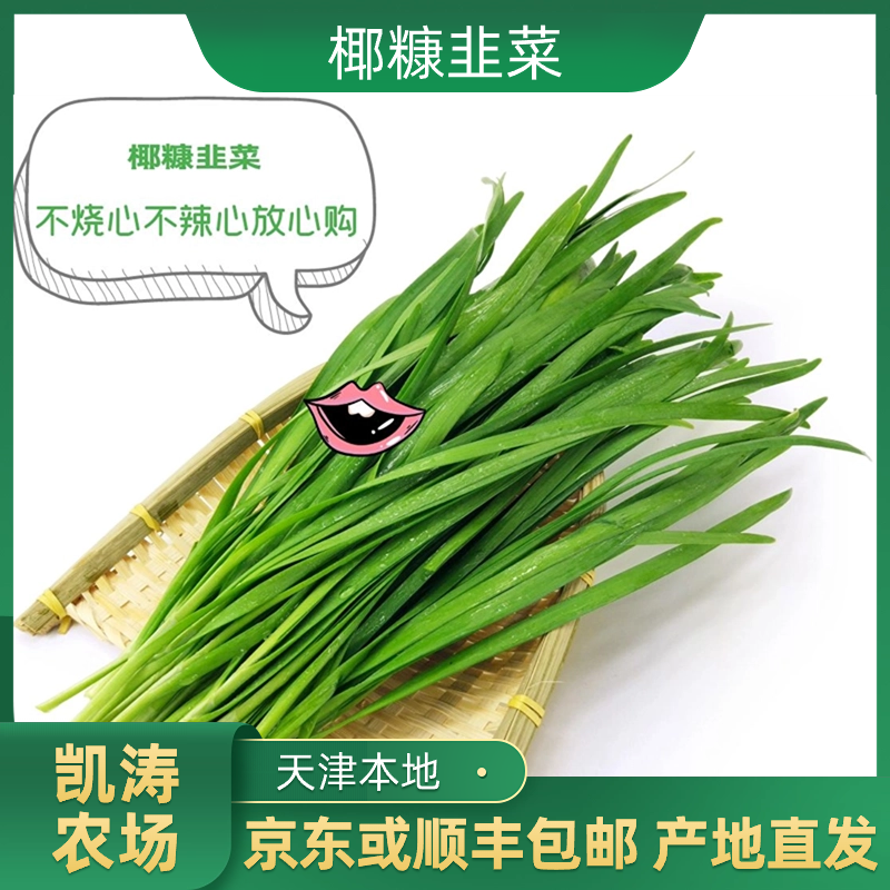 正宗椰糠韭菜2/3斤不烧心不辣心口感好 现割现发京东顺丰包邮