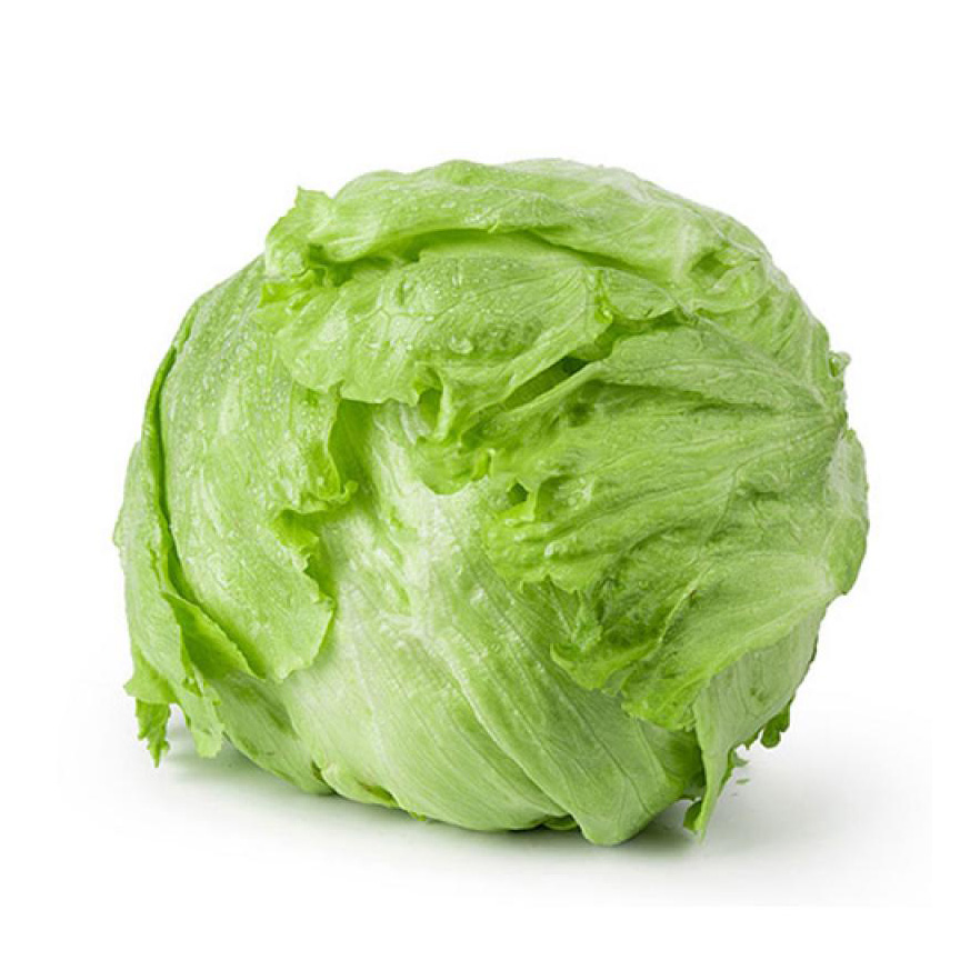 天津本地生菜球拍3发4斤京东顺丰包邮