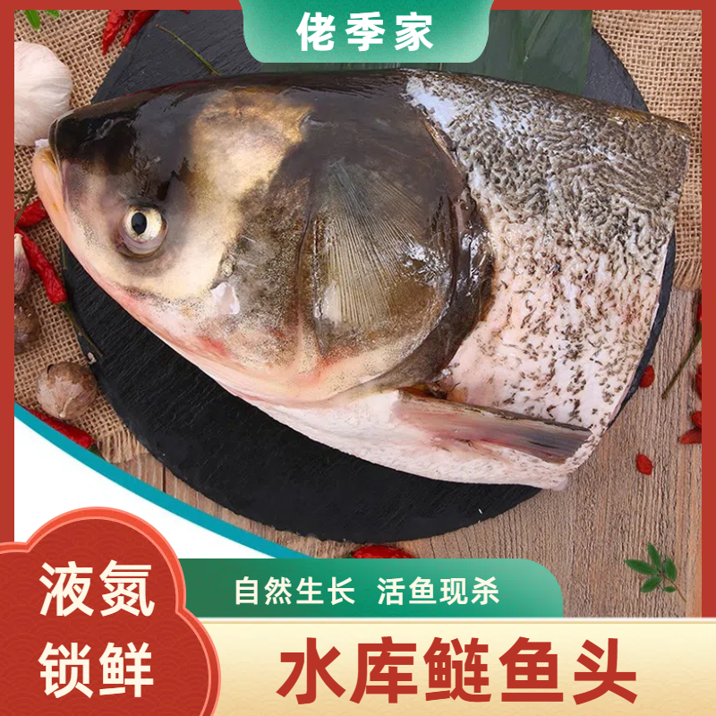 原生态养殖活鱼现杀水库鲜嫩鲢鱼头500g-600g/ 4个顺丰包邮