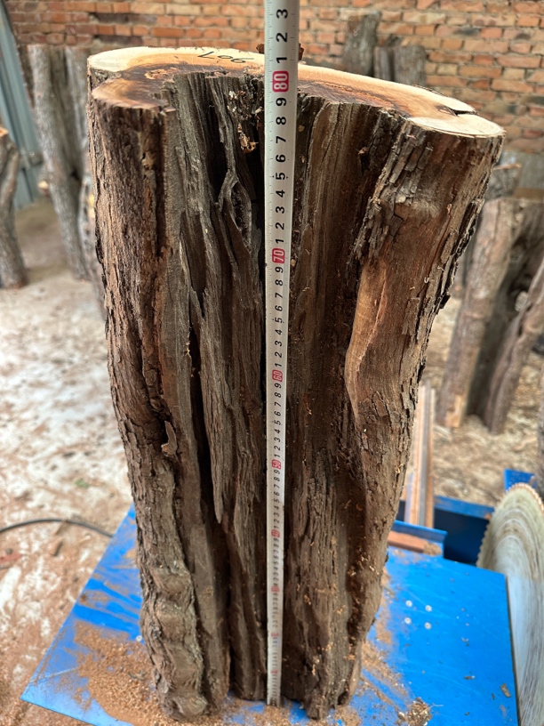 雷击木枣木原木木方木料大件慎拍不退