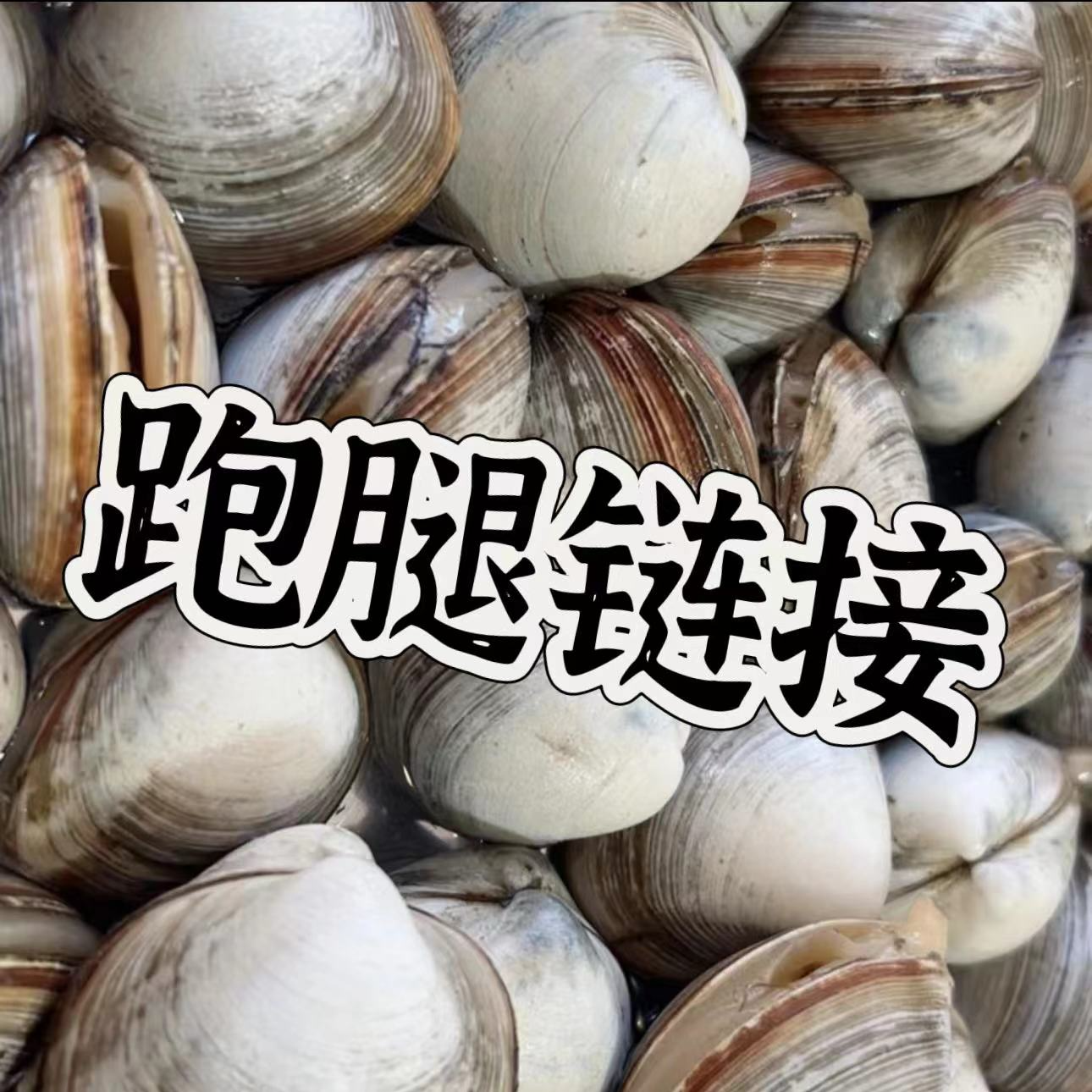 顾客专属跑腿链接，看清再拍，白蚬子，海螺套餐