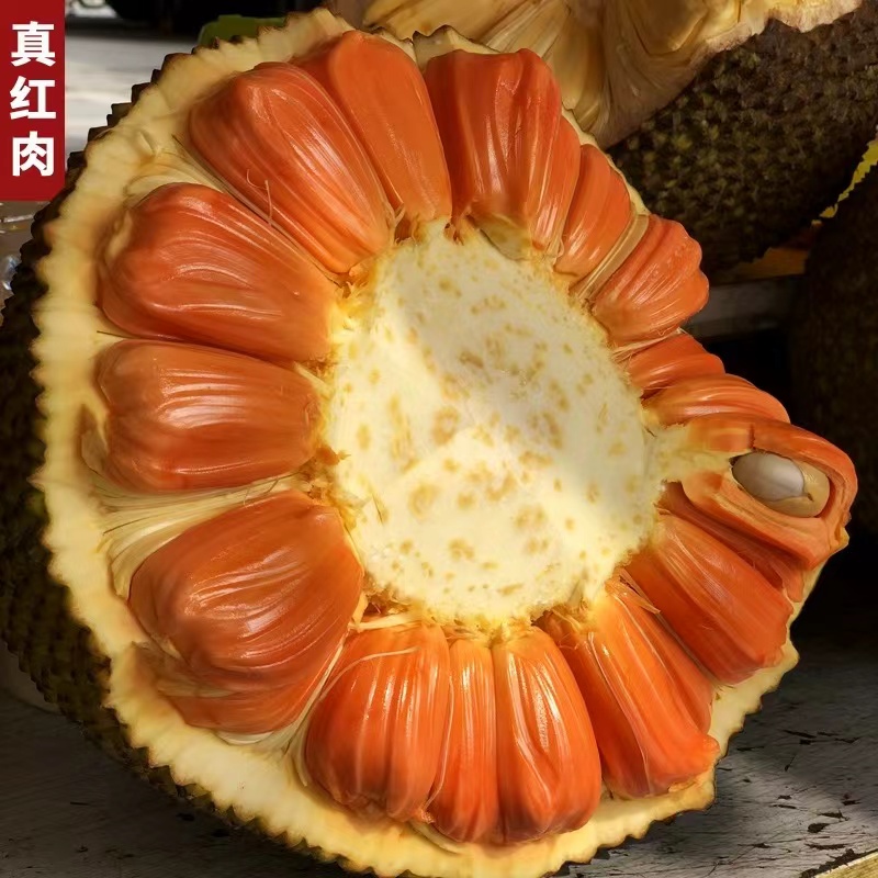 印尼红干苞红肉菠萝密（有切口验果)