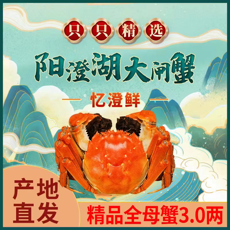 【阳澄湖大闸蟹】活蟹现发精选全母蟹3.0两礼盒6/8/10只阳澄湖塘养