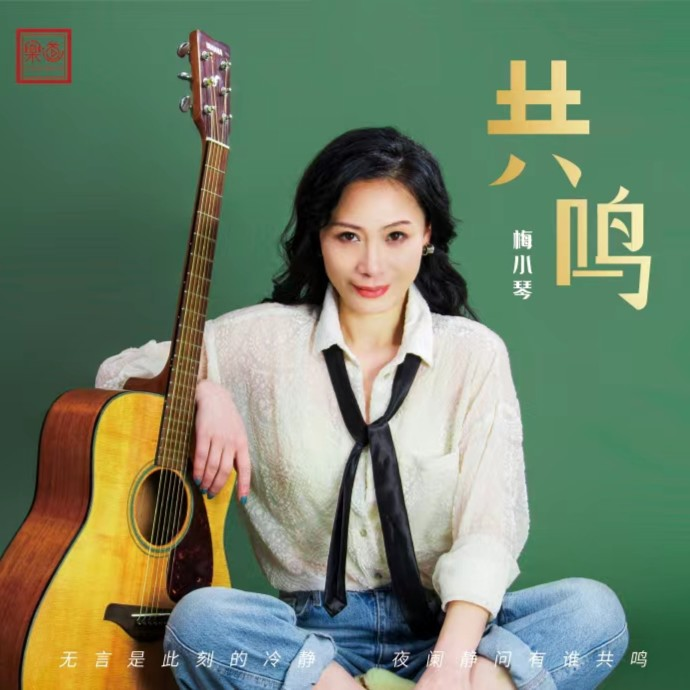 乐道唱片 共鸣 梅小琴 正版CD专辑