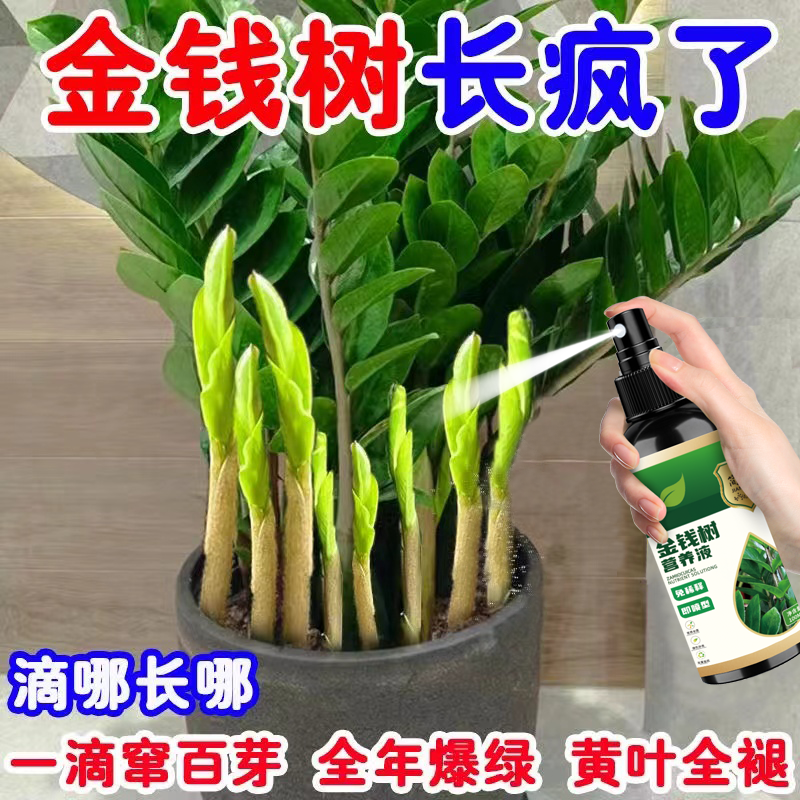 【一喷爆芽】金钱树营养液催芽防黄叶烂根液体肥生根爆芽专用肥