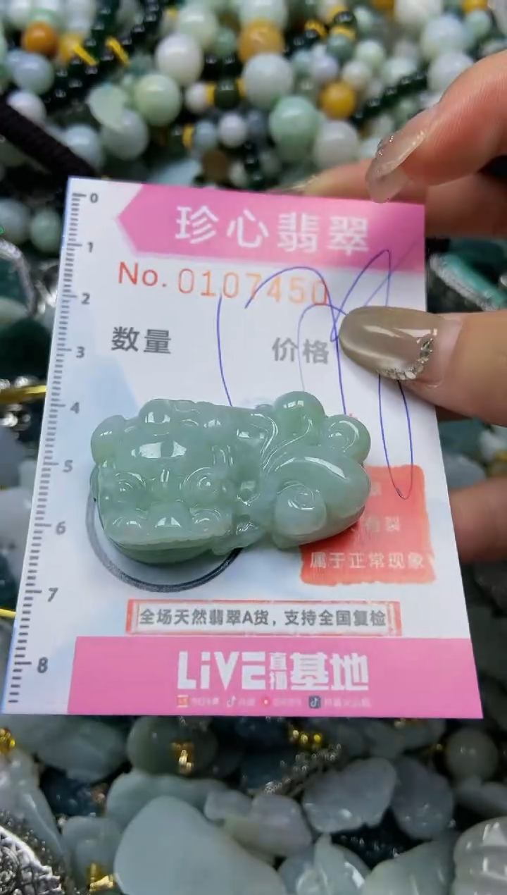 【闪购商品】翡翠颈饰未镶嵌闪购0107450