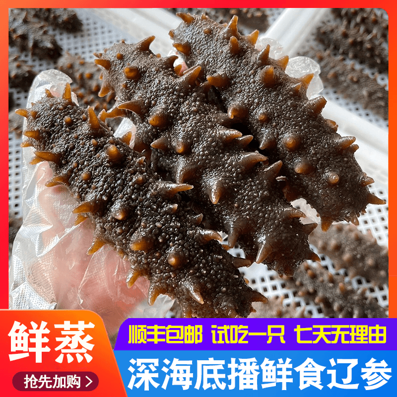 正宗大连辽刺参 即食海参 营养丰富送礼佳品5斤 鱼 干
