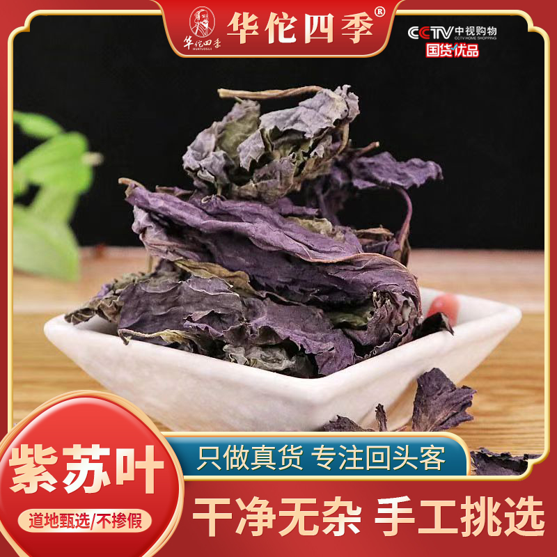 紫苏叶新鲜苏子叶食用干货干净无杂泡茶烧鱼虾蟹去腥泡水