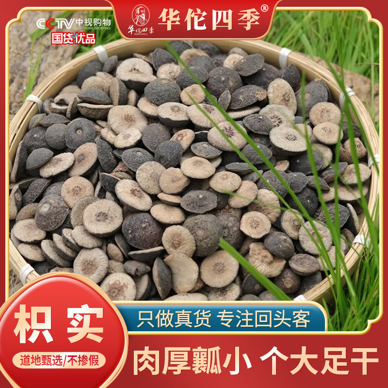 枳实 酸橙切片江西原产甄选农家干净无杂鹅眼枳实味香浓郁