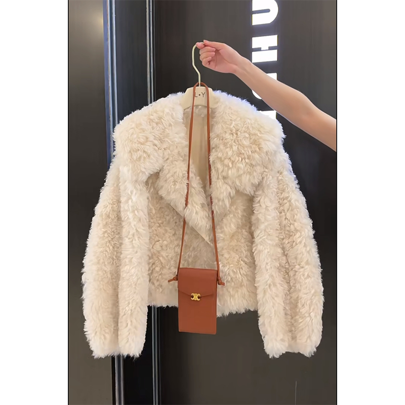 2025冬新款高级感翻领设计软糯舒适保暖短外套女时尚宽松长袖上衣