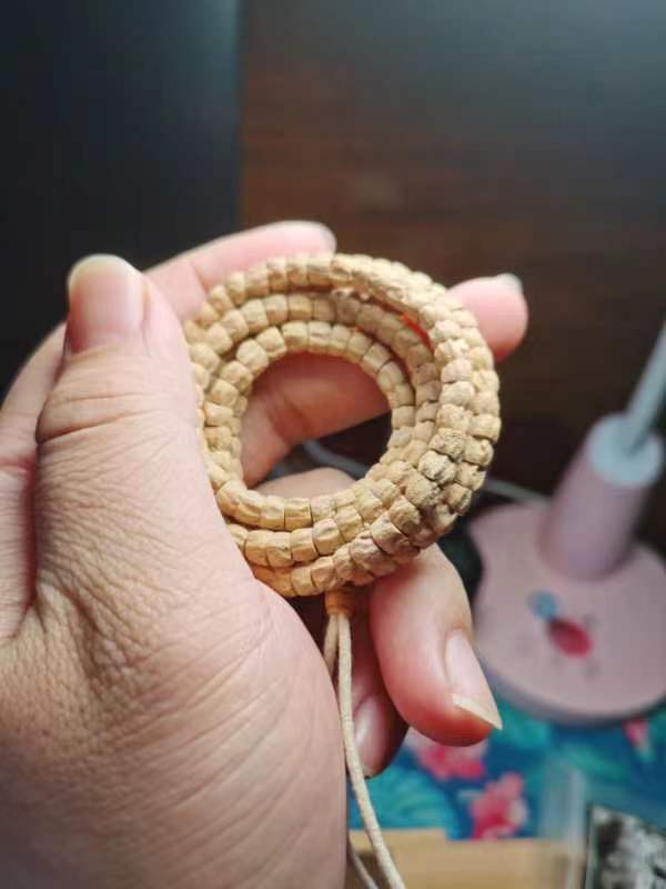 『疯子出品』热振柏香籽 焕系列 极致顺肠