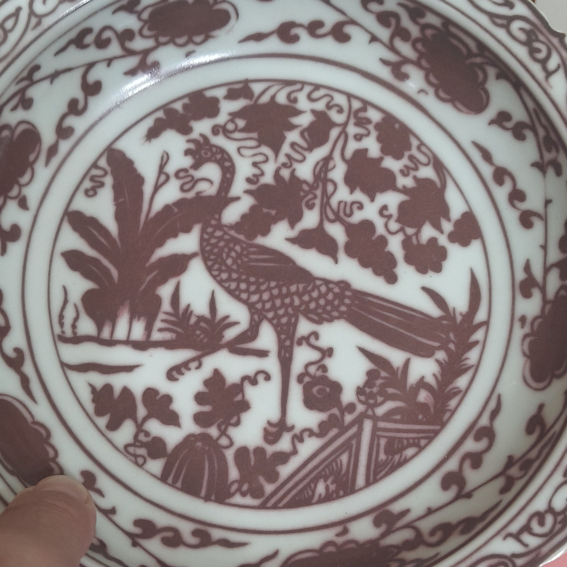 一件精美袖里红大盘全品