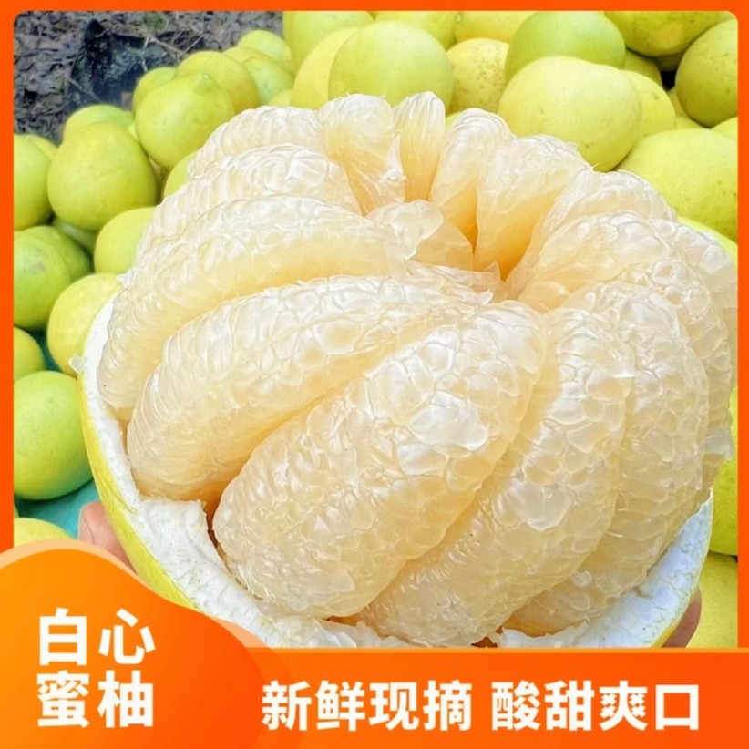 【坏果包赔】广西白心蜜柚3-5斤装 正宗清甜新鲜水果多汁甜蜜柚子