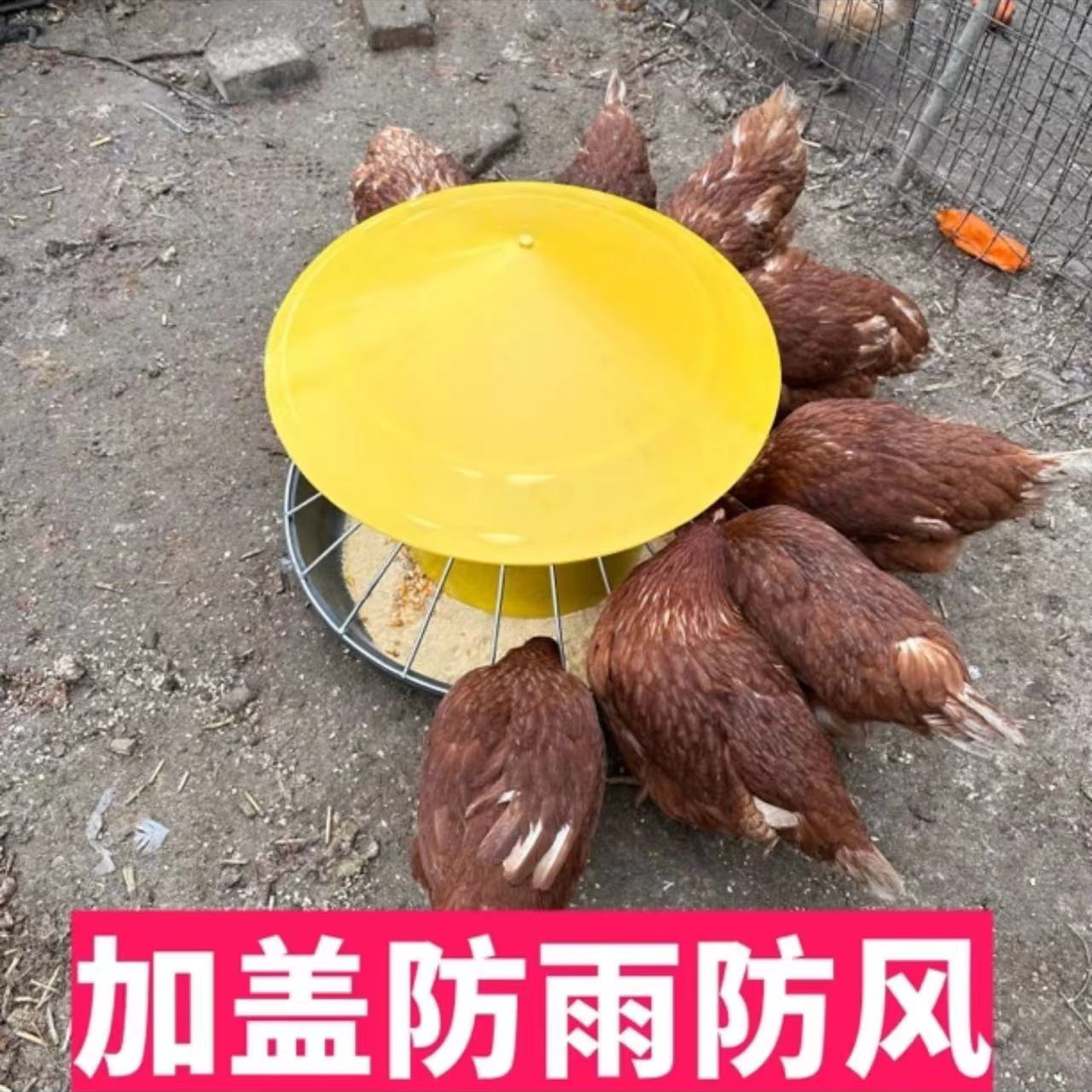 防风防雨鸡鸭鹅喂料桶自动下料自由采食家禽饲料槽喂鸡神器懒人