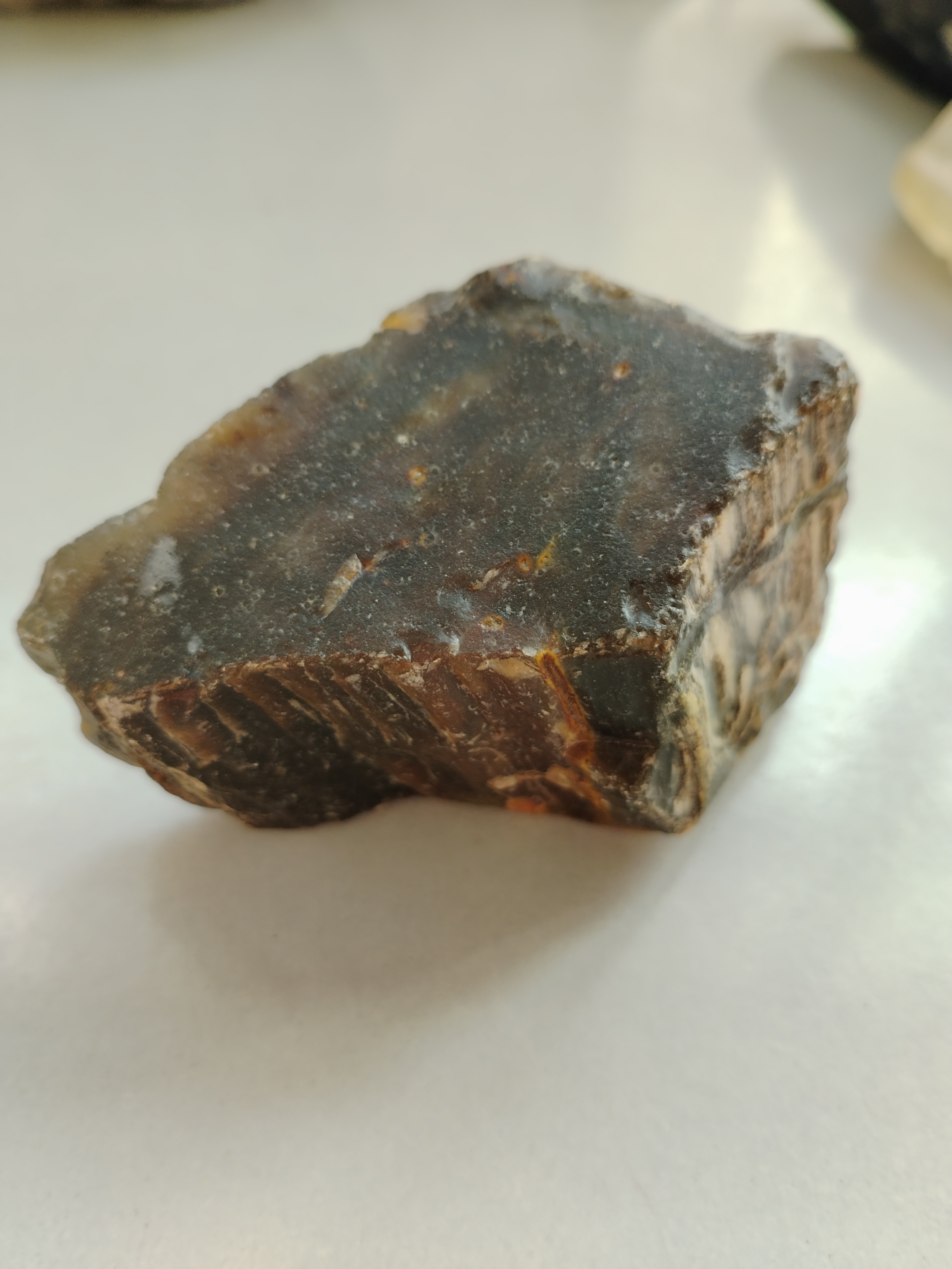 02新疆七彩硅化木原石小摆件