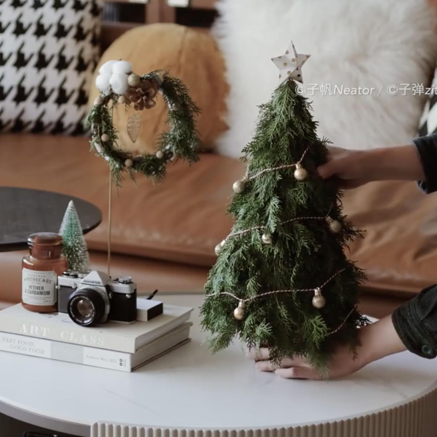 圣诞树枝新鲜侧松柏叶天然松针杉松枝真花圣装饰材料拍摄DIY手工