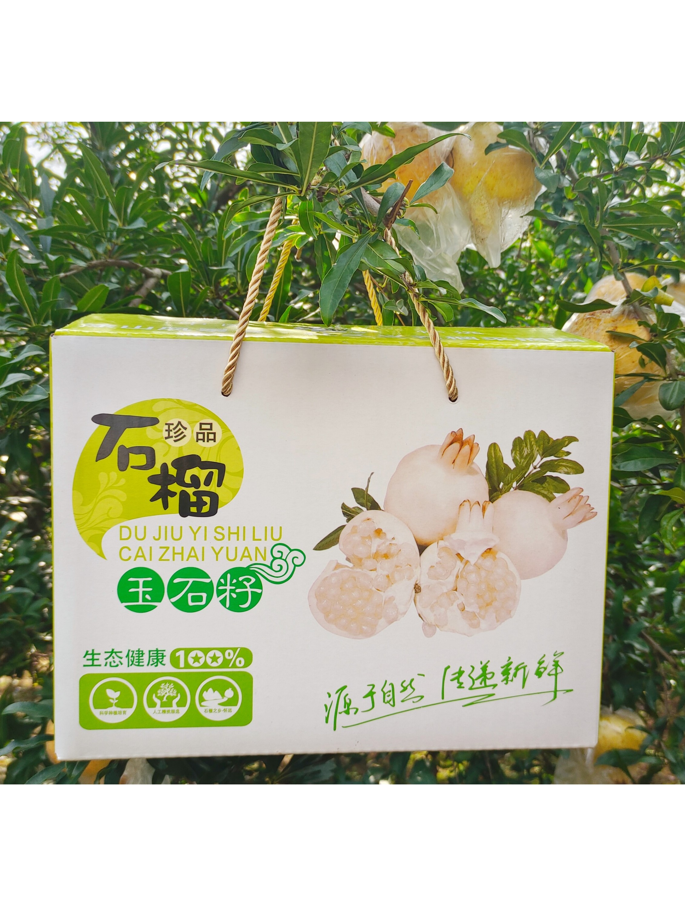 怀远白花石榴大果7两8两经济实惠净重9斤装水果有坏果包赔