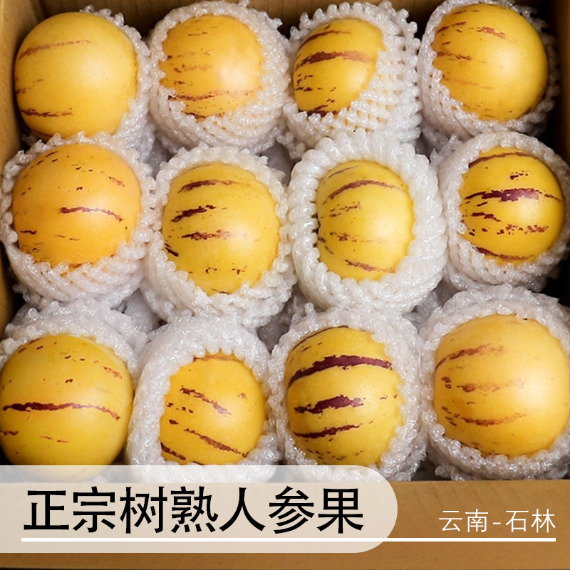 【真·树上熟】正宗云南石林人参果人生果当季热卖新鲜水果产地直