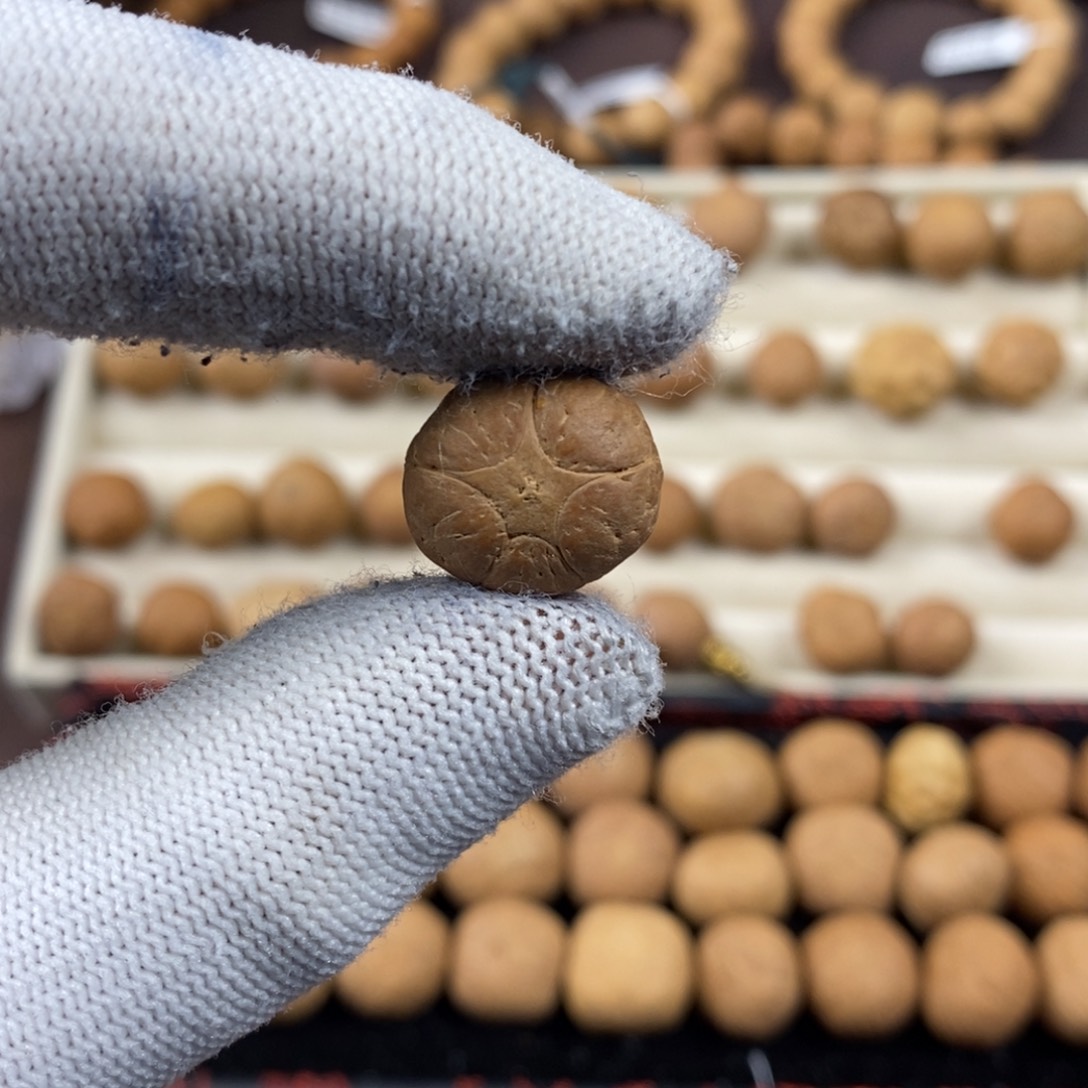 凤眼菩提吊坠16.5五星单颗