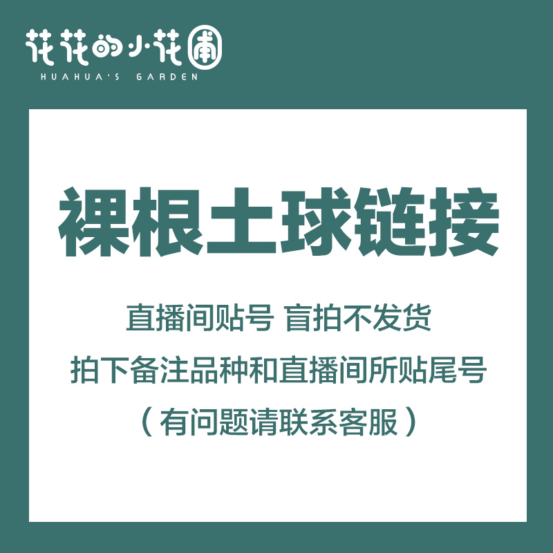 花花的小花圃裸根土球绣球链接拍下备注品种和直播间贴的尾号