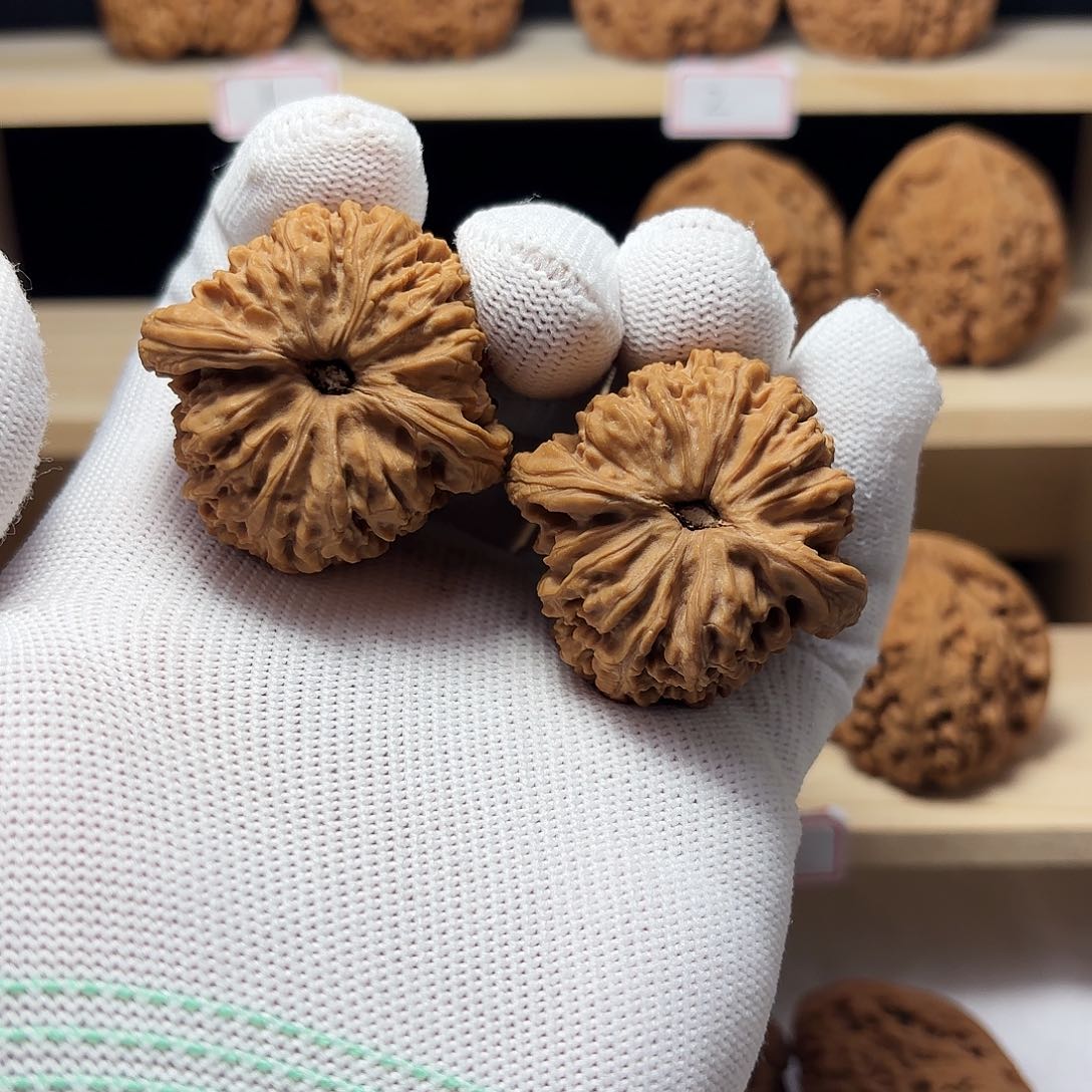 文玩核桃把件帝**相涿鹿南疆