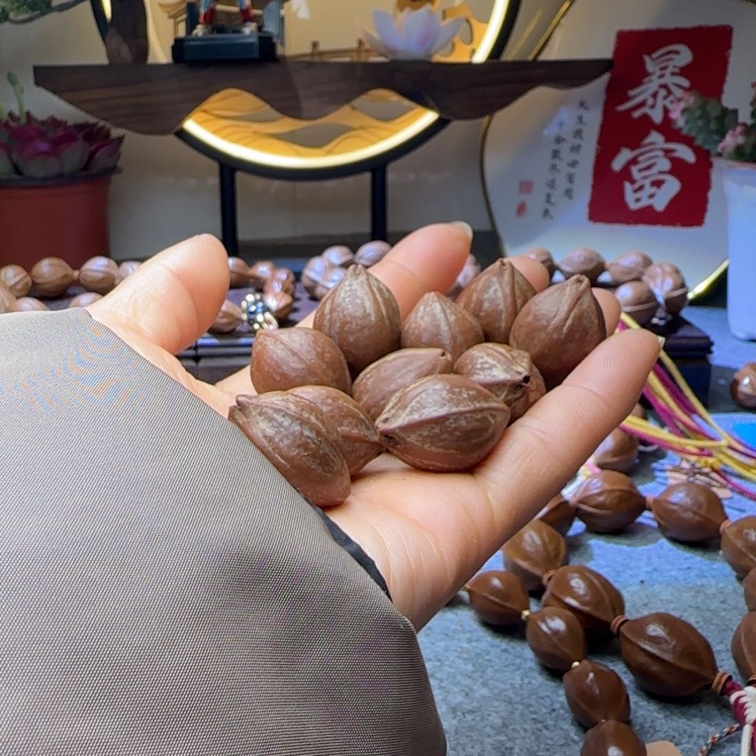 橄榄核手串F*19527梅林铁核