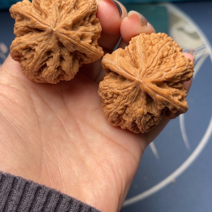 文玩核桃把件粗筋43