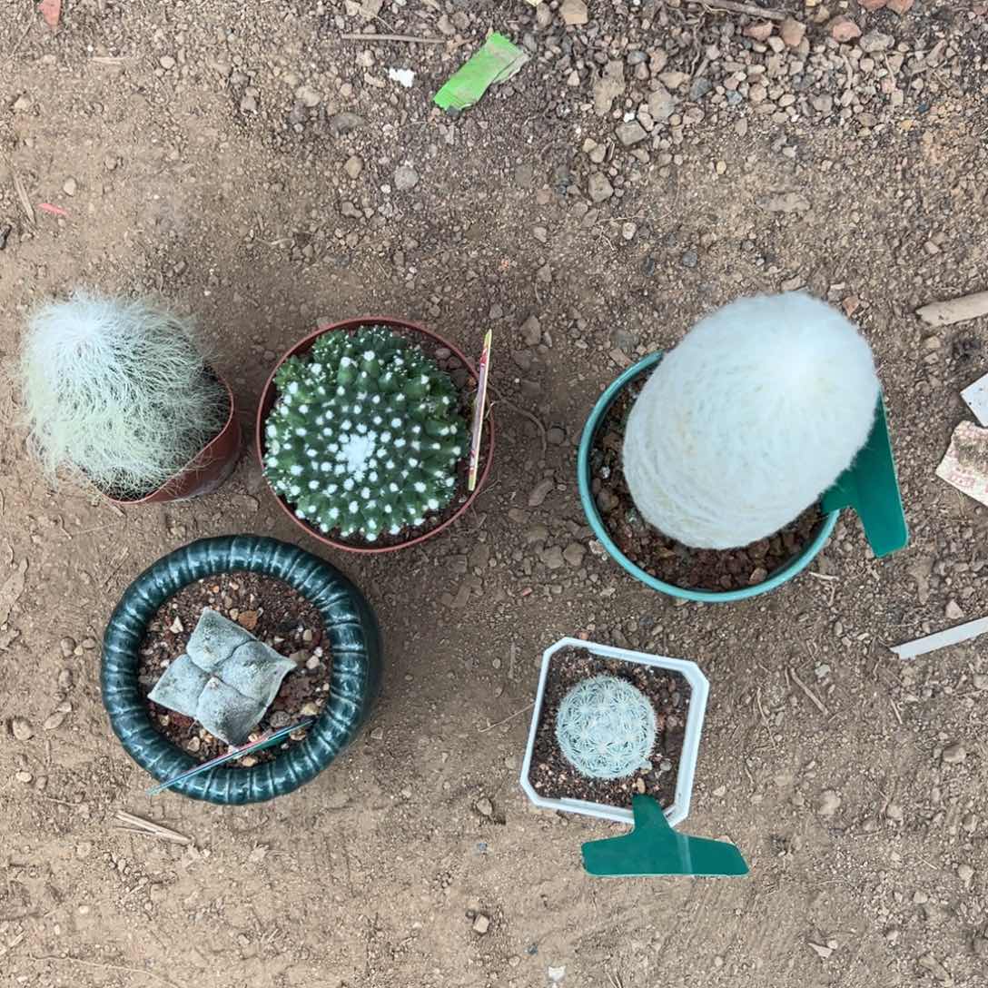 冬***鱼 零零落落 零零落落