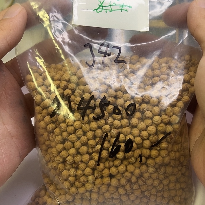杨***九吊坠柏香籽/百香籽