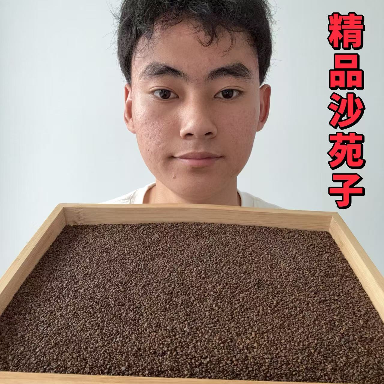 沙苑子 精选陕西沙苑子 100-500克 高含量陈货沙苑子 沙苑子枸杞