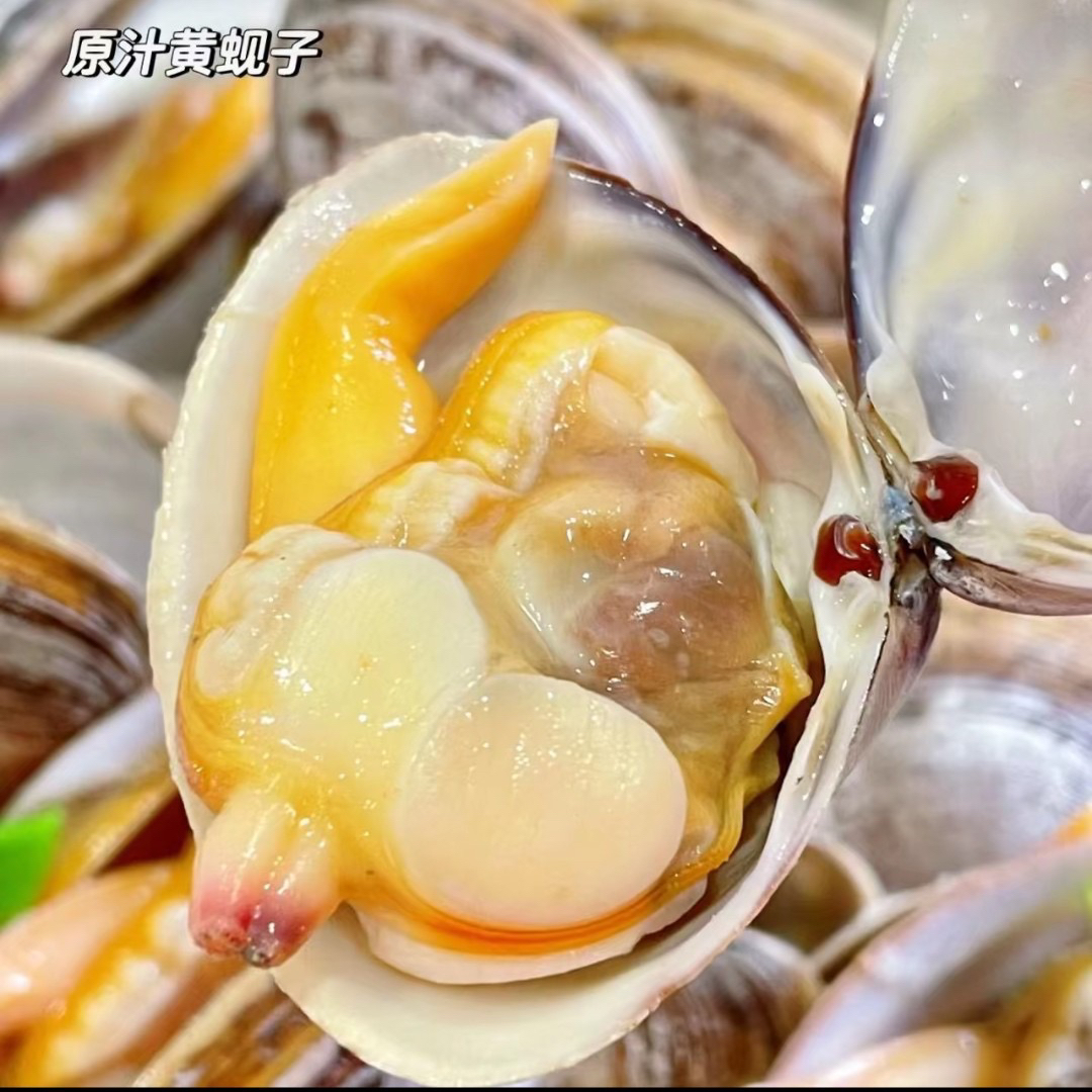 丹东东港黄蚬子 4斤 一斤18个左右 顺丰发货 