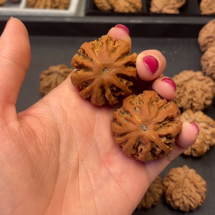 文玩核桃吊坠突突突突又突突